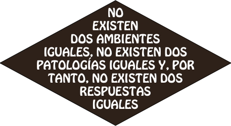NO EXISTEN DOS AMBIENTES IGUALES, NO EXISTEN DOS PATOLOGÍAS IGUALES Y, POR TANTO, NO EXISTEN DOS RESPUESTAS IGUALES